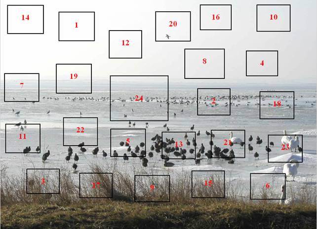 Julekalender 2010 - God forn&oslash;jelse !!