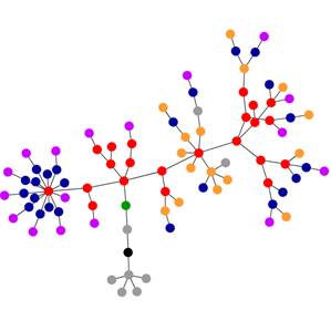 Se sitemap som en blomst
